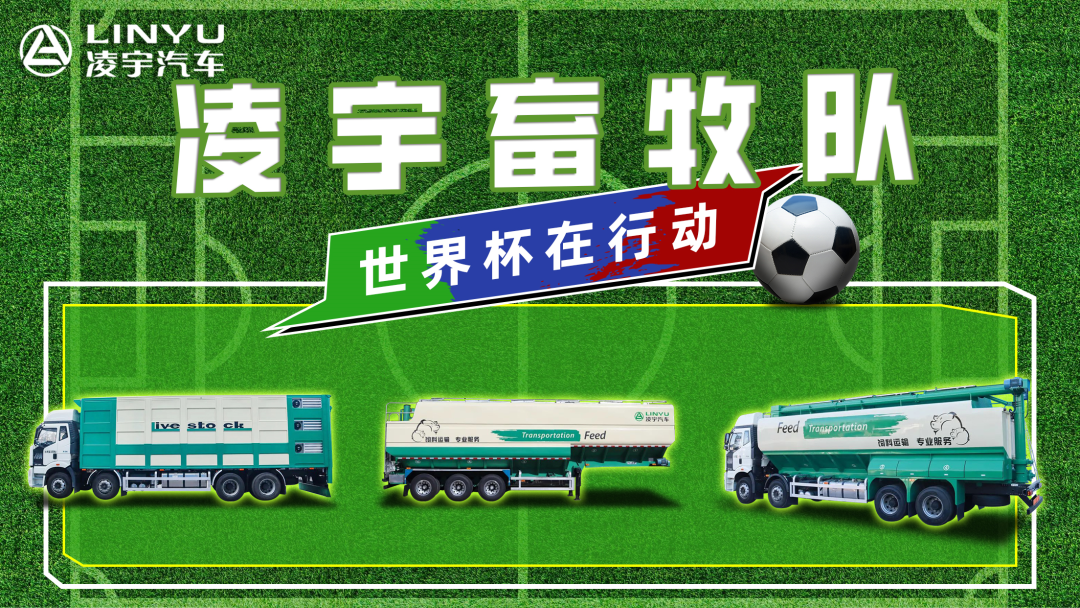 奪冠世界杯！你注意到這支球隊了嗎？